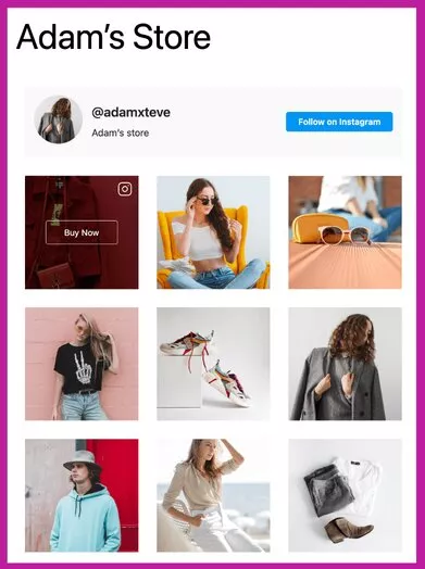 Shoppable-Instagram-feed-Instagram-Widget